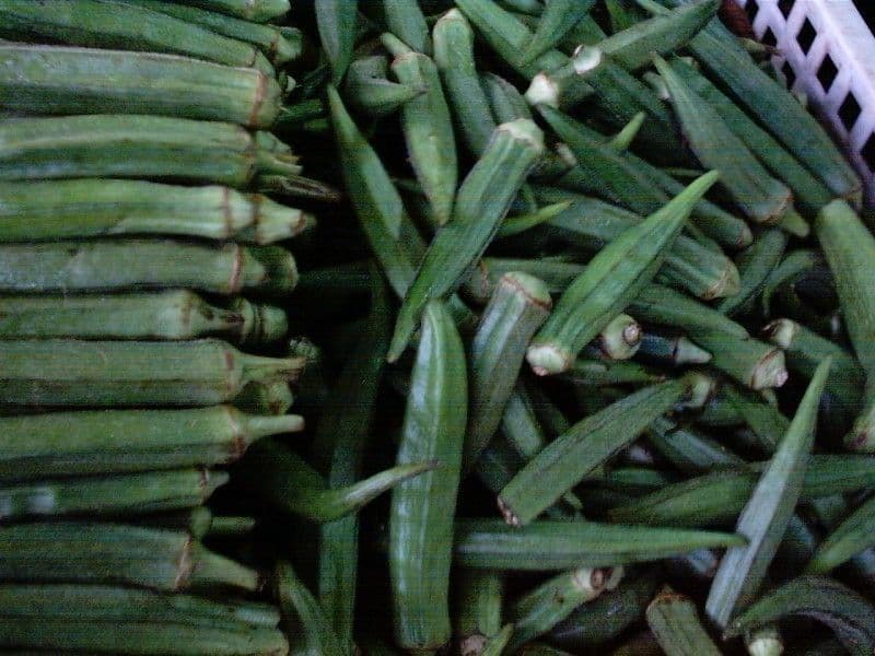 Okra 2