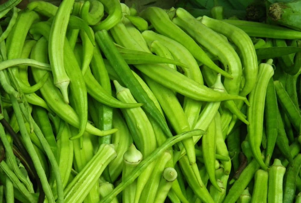 Okra 5